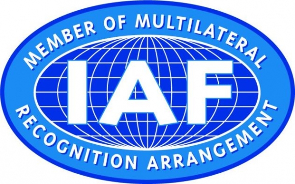 IAF logo